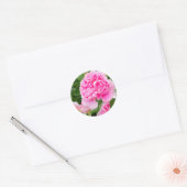 Sticker Rond Rosa Mary Rose [Round Seal] (Enveloppe)
