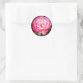 Sticker Rond Rosa Nicole (Sac)