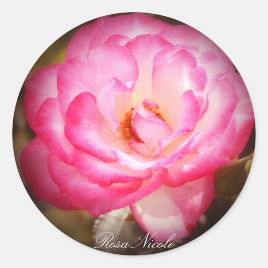 Sticker Rond Rosa Nicole (Devant)