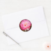 Sticker Rond Rosa Nicole (Enveloppe)