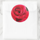Sticker Rond Rosa Papa Meilland (Sac)