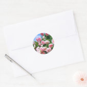 Sticker Rond Rosa Pierre de Ronsard [Round Seal] ラウンドシール (Enveloppe)