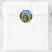 Sticker Rond Rosa Pierre de Ronsard:Seal (Sac)