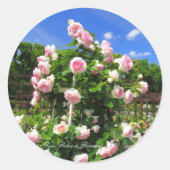 Sticker Rond Rosa Pierre de Ronsard:Seal (Devant)