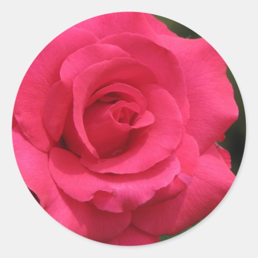 Sticker Rond Rose (Devant)