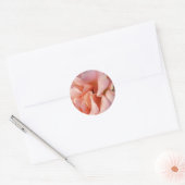 Sticker Rond rose (Enveloppe)