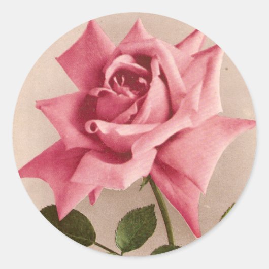 Sticker Rond Rose (Devant)