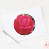 Sticker Rond Rose 258 (Enveloppe)