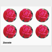Sticker Rond Rose 258 (Feuille)