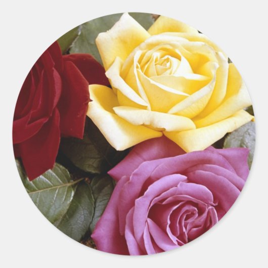 Sticker Rond Rose 289B (Devant)