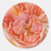 Sticker Rond Rose anglais couleur bracelet (Devant)