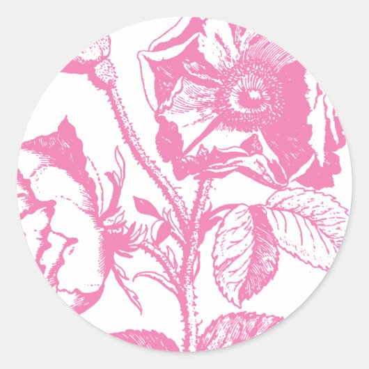 Sticker Rond Rose antique rose (Devant)