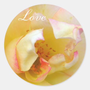 Sticker Rond Rose automne