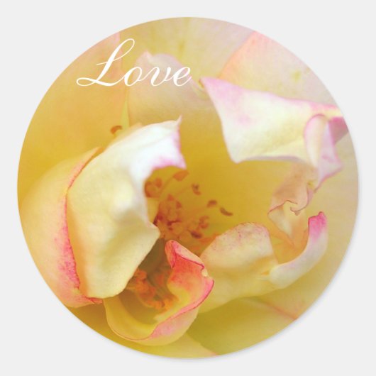Sticker Rond Rose automne (Devant)