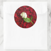 Sticker Rond Rose blanche sur pétales rouges (Sac)