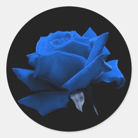 Sticker Rond Rose bleu (Devant)