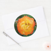 Sticker rond rose classique, brillant (Enveloppe)