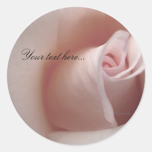 Sticker Rond Rose Cloud Invitations Mariages Phoques (Devant)
