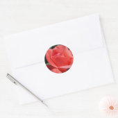 Sticker Rond Rose corail (Enveloppe)