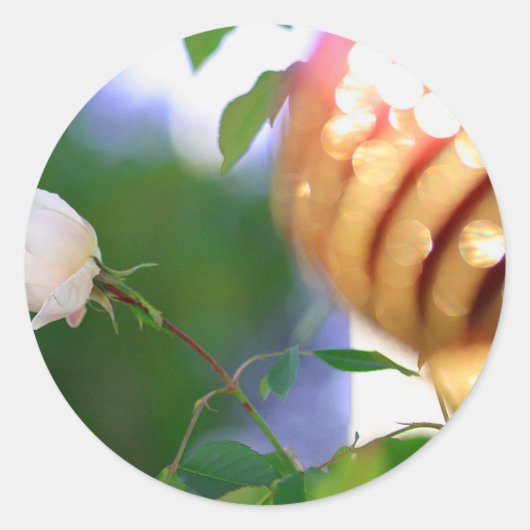 Sticker Rond Rose de Noël blanc (Devant)