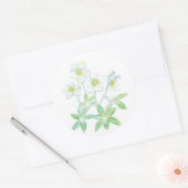 Sticker Rond Rose de Noël, Illustration de Helleborus niger (Enveloppe)