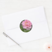 Sticker Rond Rose délicate Merci (Enveloppe)