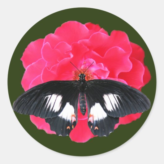 Sticker Rond Rose et Swallowtail (Devant)