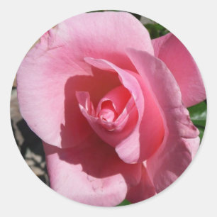 Sticker Rond Rose III Jardin Floral
