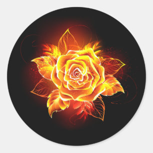 Sticker Rond Rose incendie en floraison