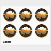 Sticker Rond Rose intérieur brillant jaune et or (Feuille)