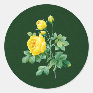 Sticker Rond Rose jaune et rose