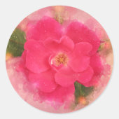 Sticker Rond Rose Knockout roseau aquarelle (Devant)