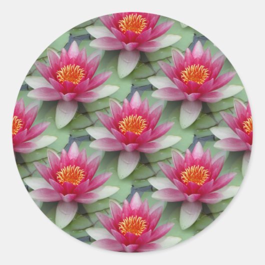 Sticker Rond Rose Lotus Water Lily (Devant)