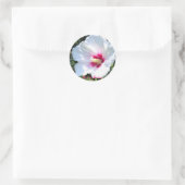 Sticker Rond Rose of Sharon [Round Seal] (Sac)