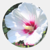 Sticker Rond Rose of Sharon [Round Seal] (Devant)