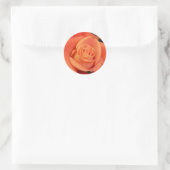 Sticker Rond Rose orange (Sac)