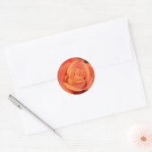 Sticker Rond Rose orange (Enveloppe)