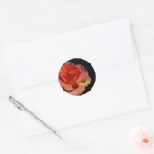 Sticker Rond Rose orange (Enveloppe)