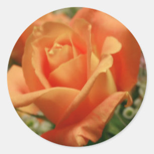 Sticker Rond Rose orange