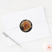 Sticker Rond Rose orange 1 (Enveloppe)