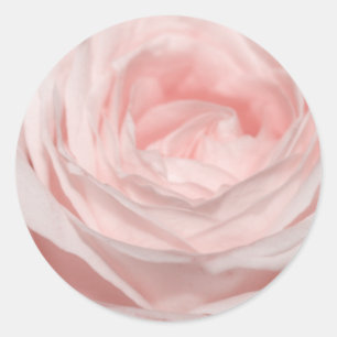 Sticker Rond Rose romantique