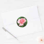 Sticker Rond Rose rose (Enveloppe)