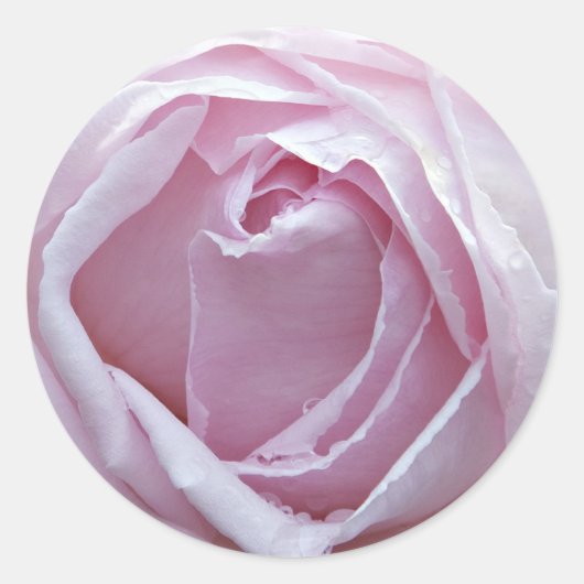 Sticker Rond Rose rose (Devant)