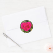 Sticker Rond Rose Rose#4 (Enveloppe)