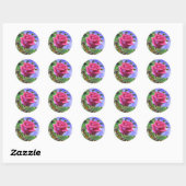 Sticker Rond Rose rose et papillons (Feuille)