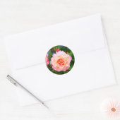 Sticker Rond Rose rose fleurs dans le jardin carte postale (Enveloppe)