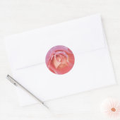 Sticker Rond Rose rose lustre (Enveloppe)