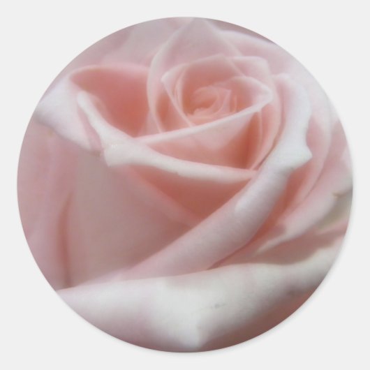 Sticker Rond Rose rose pâle (Devant)
