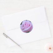 Sticker Rond Rose rose ronde (Enveloppe)