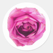 Sticker Rond Rose rose rose (Devant)